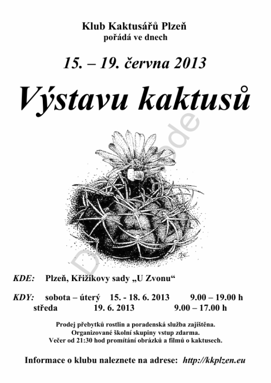 plakat vystava 2013