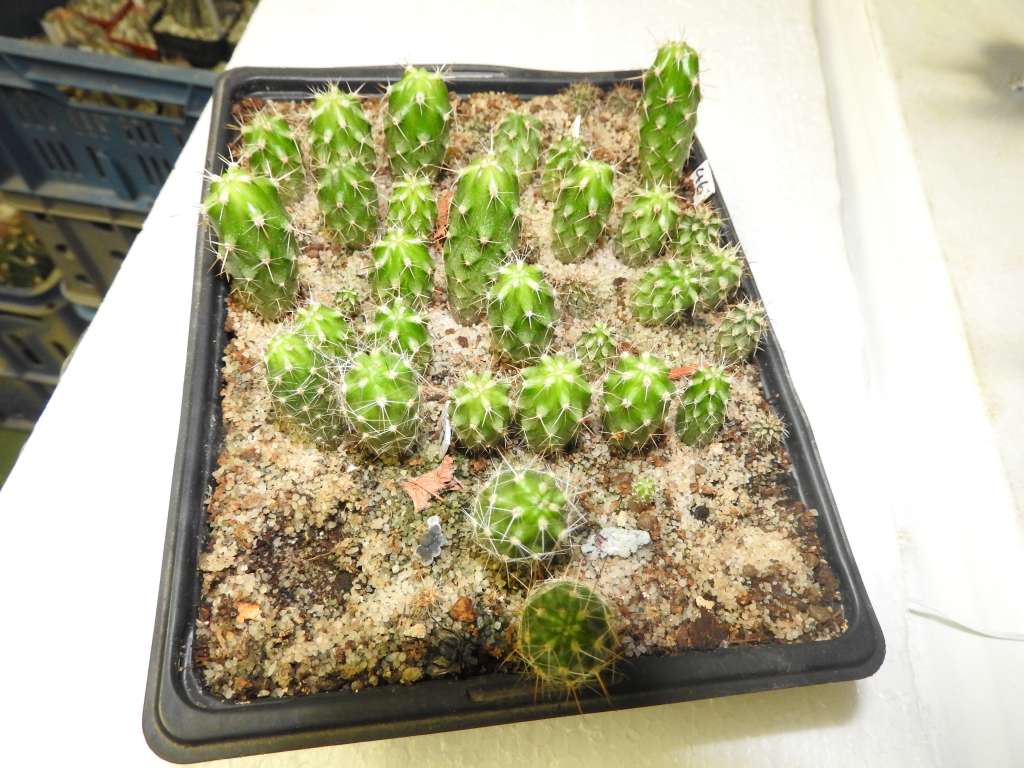 DSCN3364.JPG